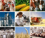 agribusiness recruitment and staffing service agency