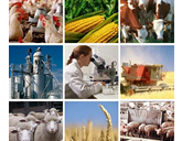 Grow Labor agribusiness recruitment and staffing service agency